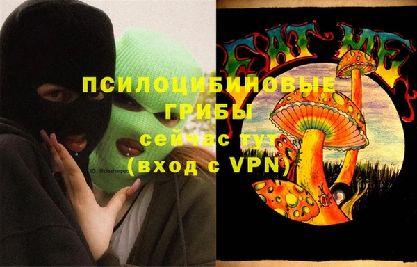 молекула духа Арсеньев