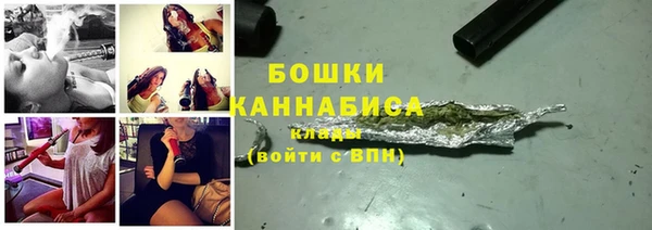 молекула духа Арсеньев