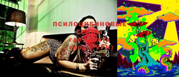 прущая мука Аркадак
