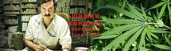 молекула духа Арсеньев