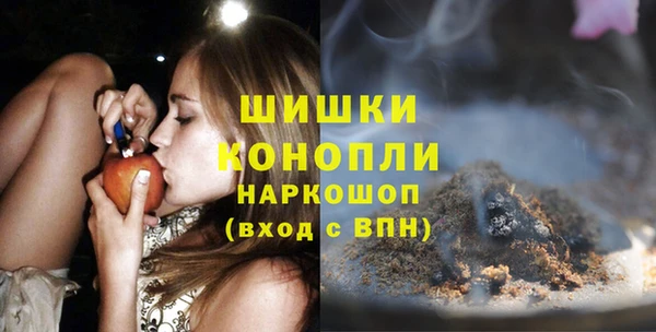 молекула духа Арсеньев